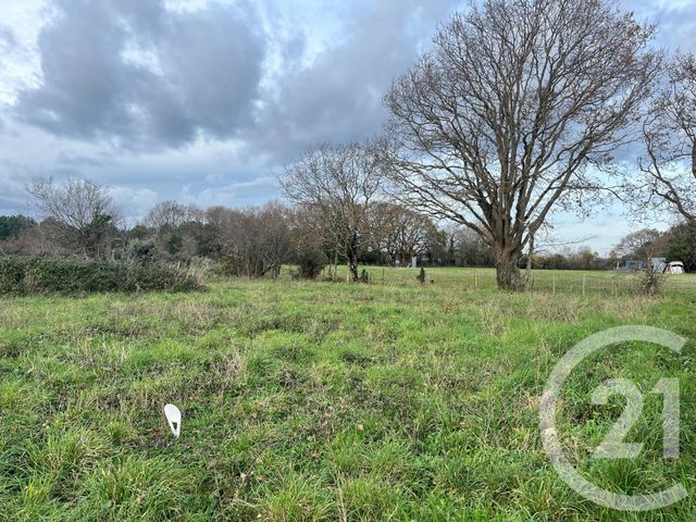 terrain - ST BREVIN LES PINS - 44